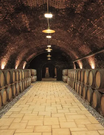 Barrique cellar (c) Weingut Schloss Gobelsburg Barrique cellar with casks to the right and left (c) Weingut Schloss Gobelsburg