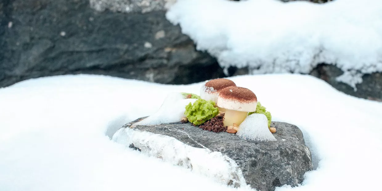 Gourmet dish from Parkhotel Sole Paradiso in Innichen, artfully presented in nature on a gray rock, surrounded by snow and rock.