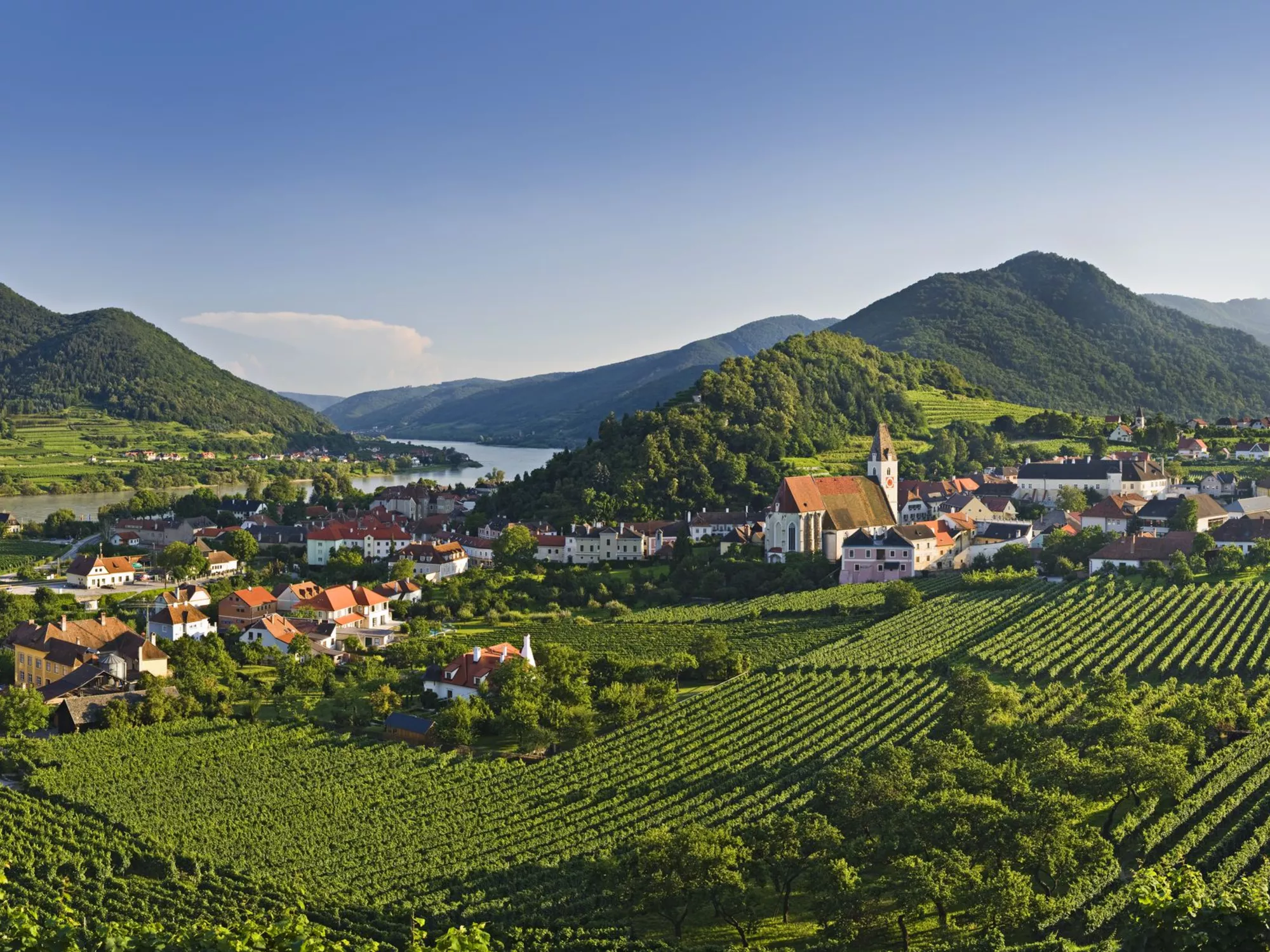 View of Spitz in the Wachau with the Danube and surrounding vineyards (c) photo Österreich Werbung / Rainer Mirau
