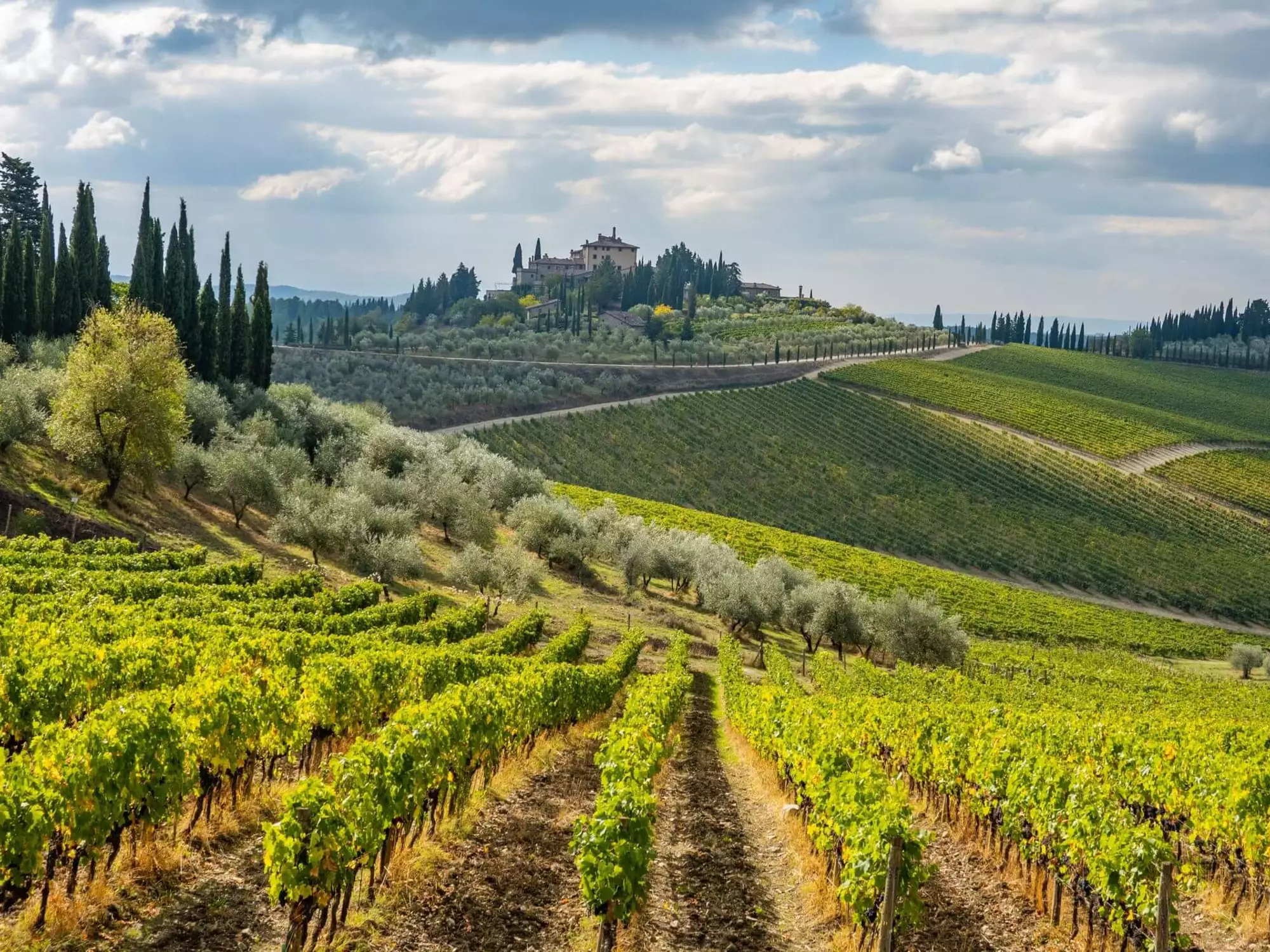 Hügelige Landschaft mit Weingärten und dem Dorf Radda in Chianti, Toskana (c) Foto Rich Martello / Unsplash