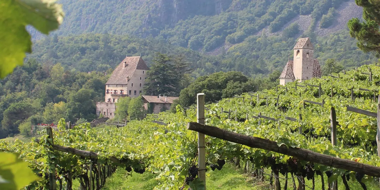 (c) Schloss & Weingut Englar View across the vineyards toward Schloss Englar, with the castle chapel on the right (c) photo Schloss Englar
