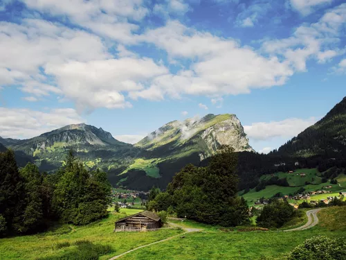Holdamoos mit Kanisfluh im Bregenzerwald (c) Markus Gmeiner / Vorarlberg Tourismus GesmbH