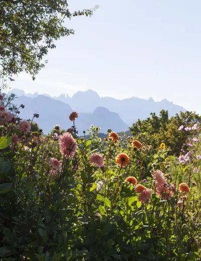Panoramapark vom Parkhotel Holzner in Oberbozen, Südtirol (c) Foto Parkhotel Holzner