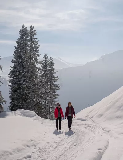 Winterwandern (c) Tirol Werbung / Koopmann Jörg