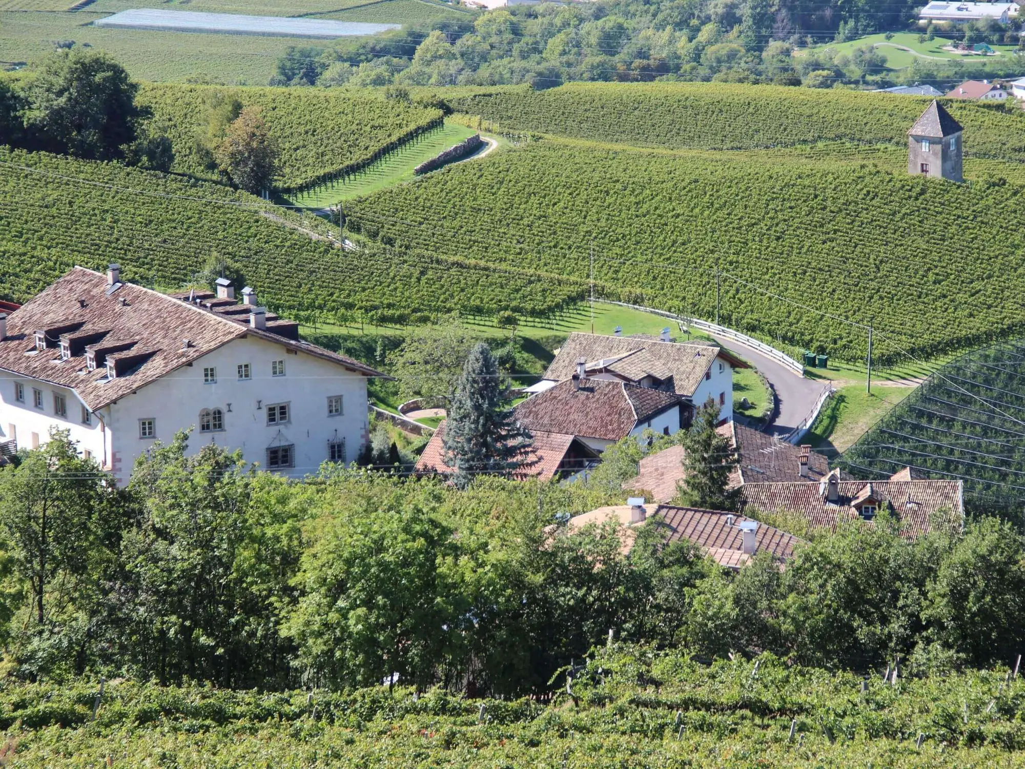 Blick von oben auf einen Weiler und die Weingärten des Weinguts RADOIN 1560 in Südtirol (c) Foto Weingut RADOIN 1560