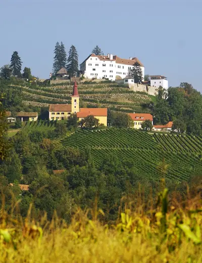 Schloss Kapfenstein (c) Winkler Hermaden family Schloss Kapfenstein enthroned above the vineyards in autumn (c) photo Winkler-Hermaden family