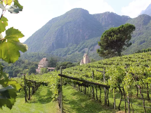 Wine estate Schloss Englar in St. Michael Eppan, South Tyrol