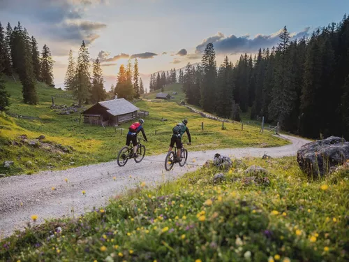 Zwei Mountainbiker talabwärts auf einem Weg zwischen Hütten und Almen (c) Foto WOM Medien GmbH / Andreas Meyer