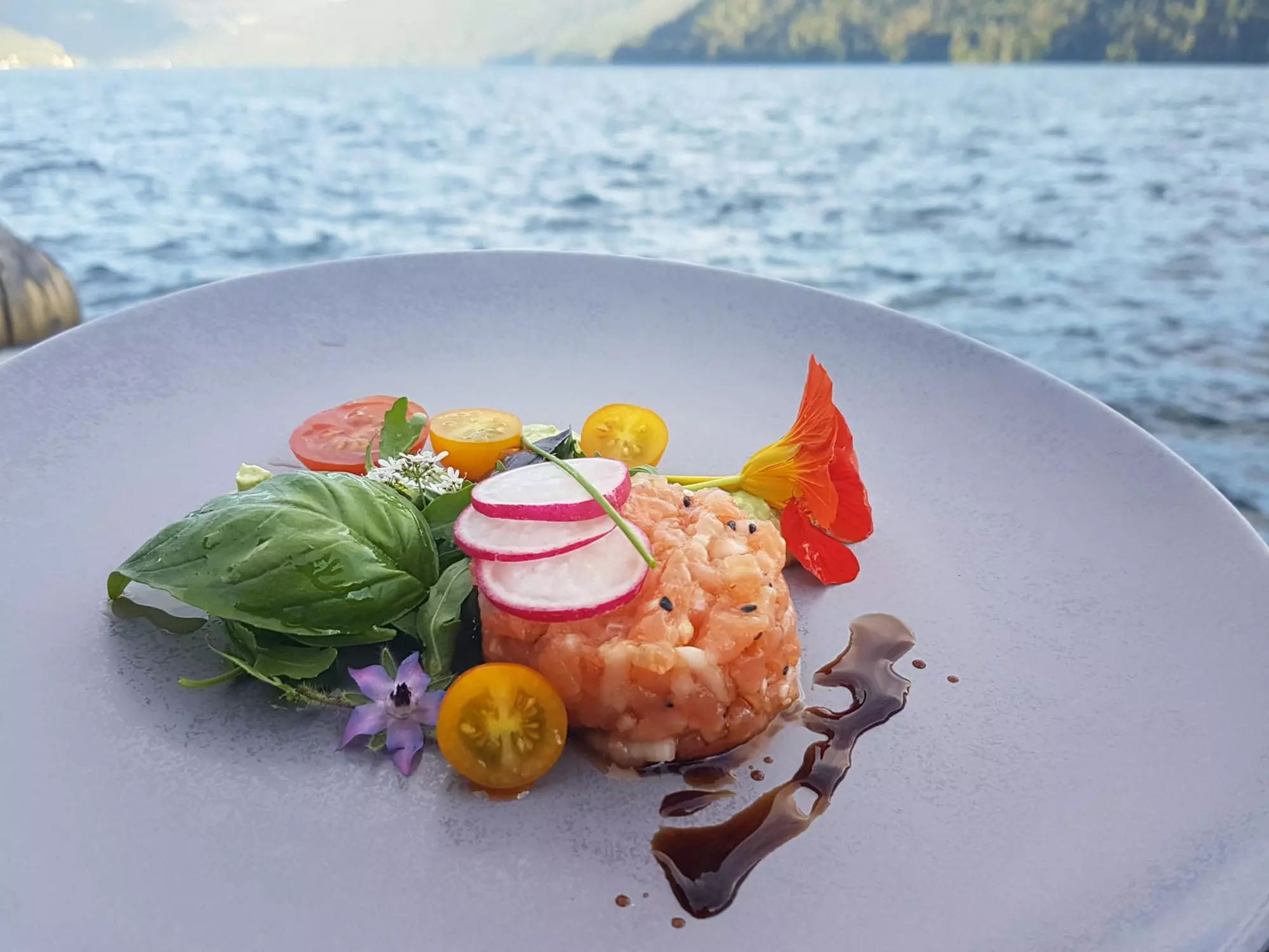 On the shore of Millstätter See, Restaurant See-Villa: Fish tartare with garnish of leaf salads and cherry tomatoes, served on a white plate with Millstätter See in the background.