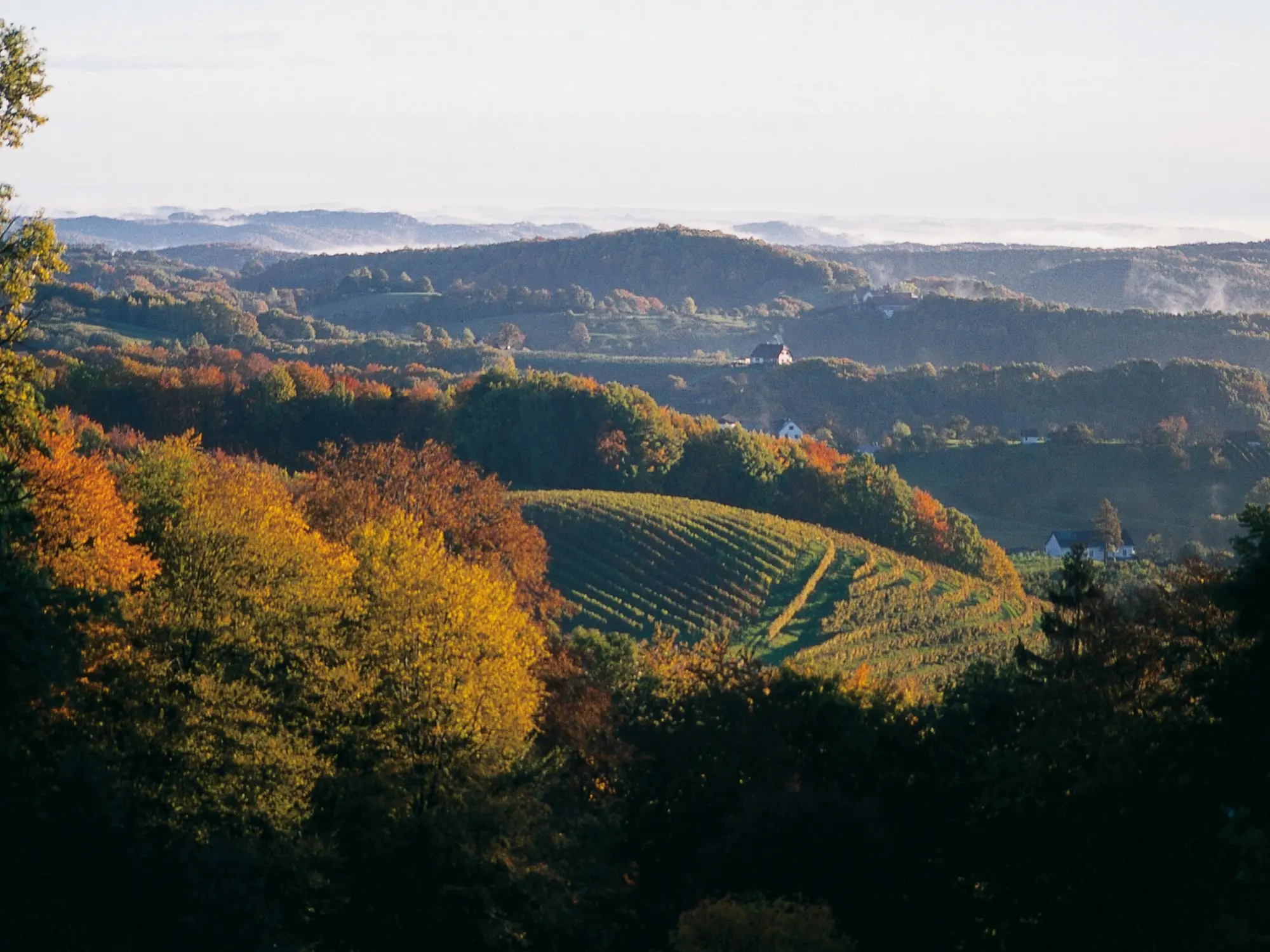Blick vom Schloss Kapfenstein über die Weinberge und das Vulkanland (c) Foto Familie Winkler-Hermaden
