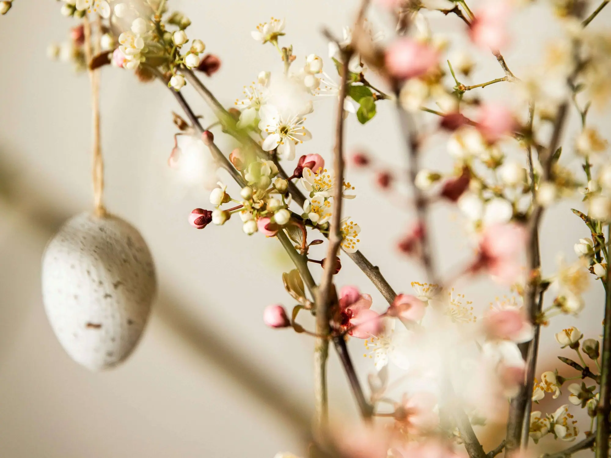 Branches with flowers and Easter decorations (c) Photo Kaja Reichardt / Unsplash