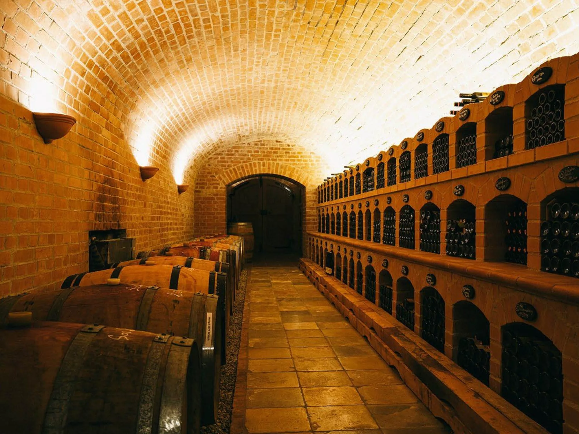 Wine cellar vault with wine barrels and wine bottles in storage at Weingut Vitikultur Moser (c) Photo Vitikultur Moser
