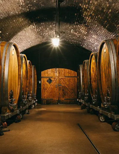 Wine cellar of Weingut Schloss Gobelsburg with wooden barrels (c) photo Weingut Schloss Gobelsburg